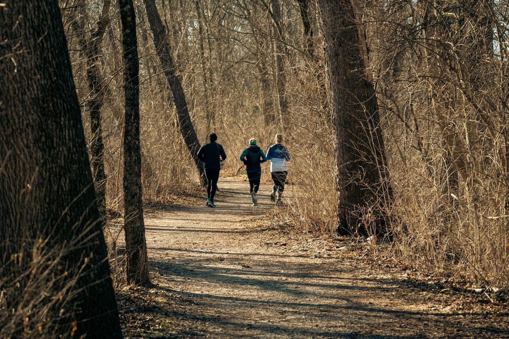 Tre personer joggar på en skogsstig bland täta träd och buskar
